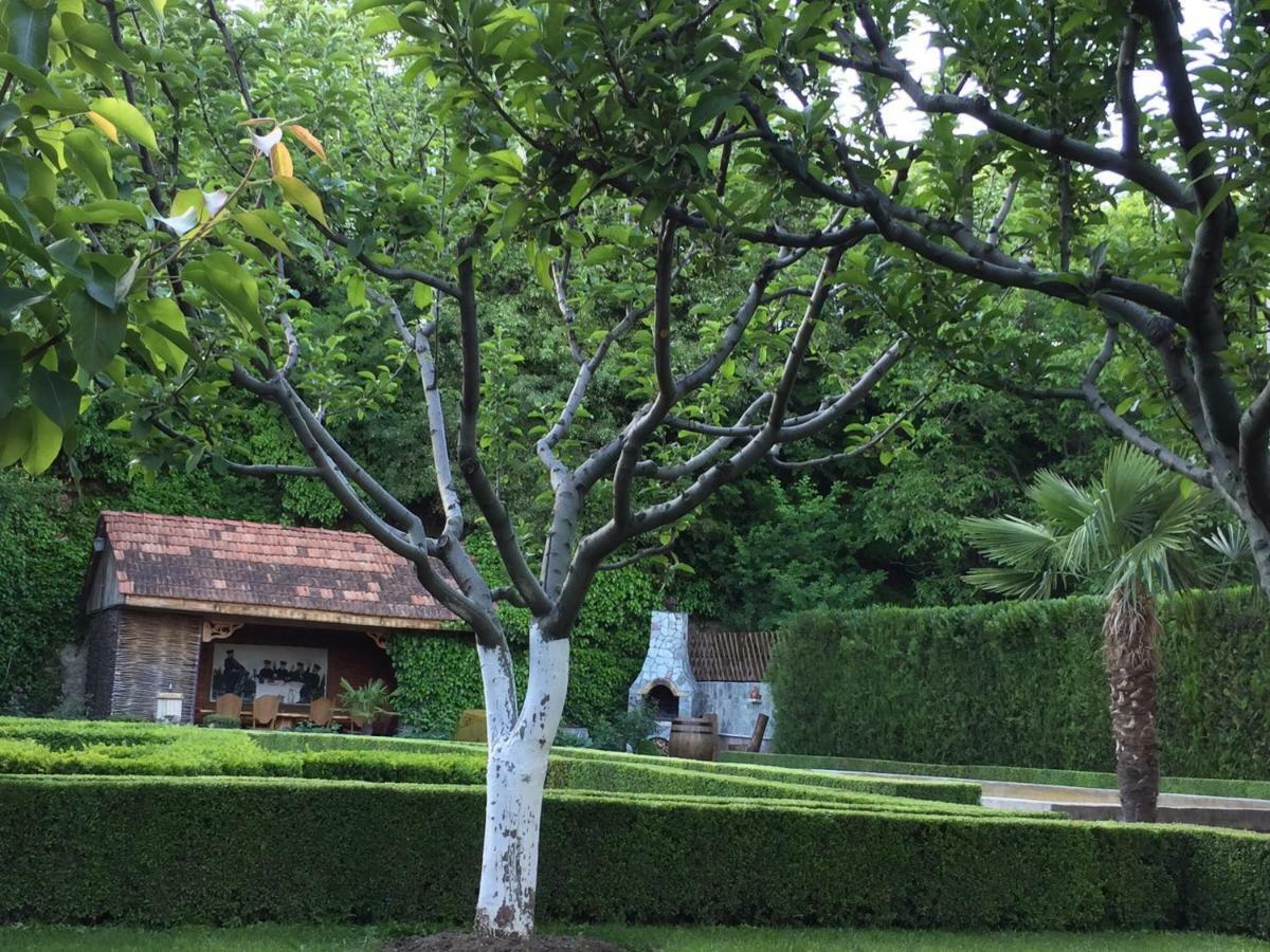 Aragvi Valley Villa Tsitelsopeli Buitenkant foto