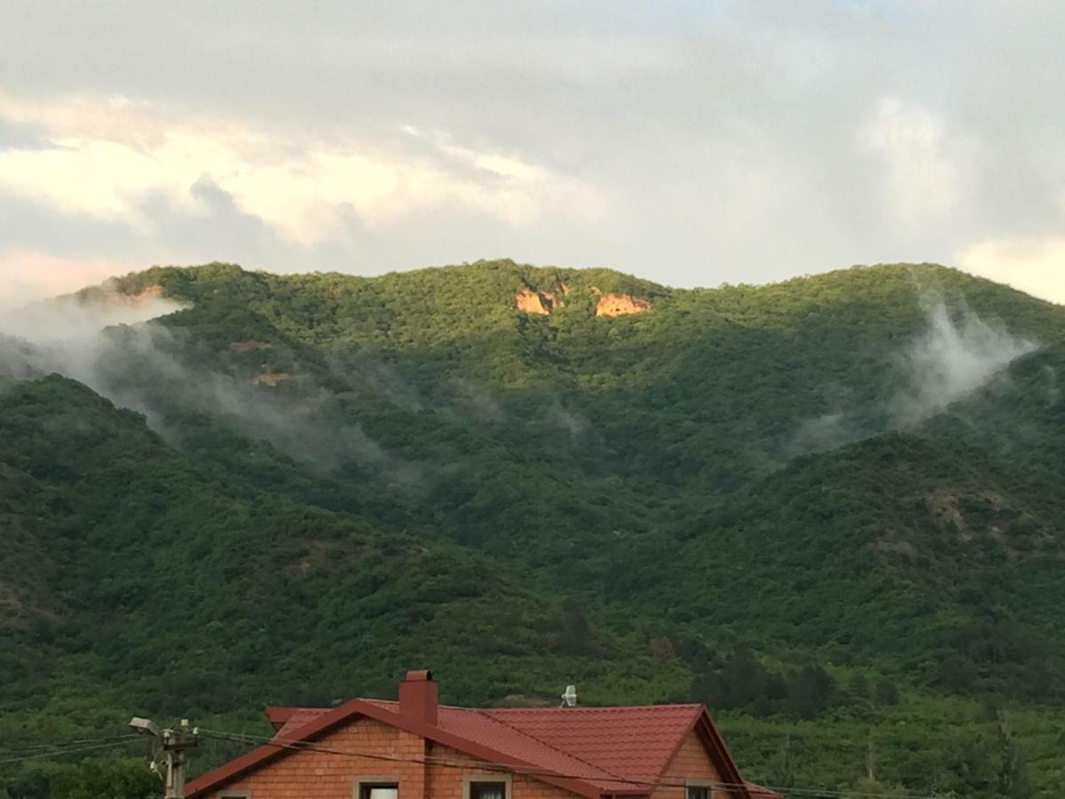 Aragvi Valley Villa Tsitelsopeli Buitenkant foto